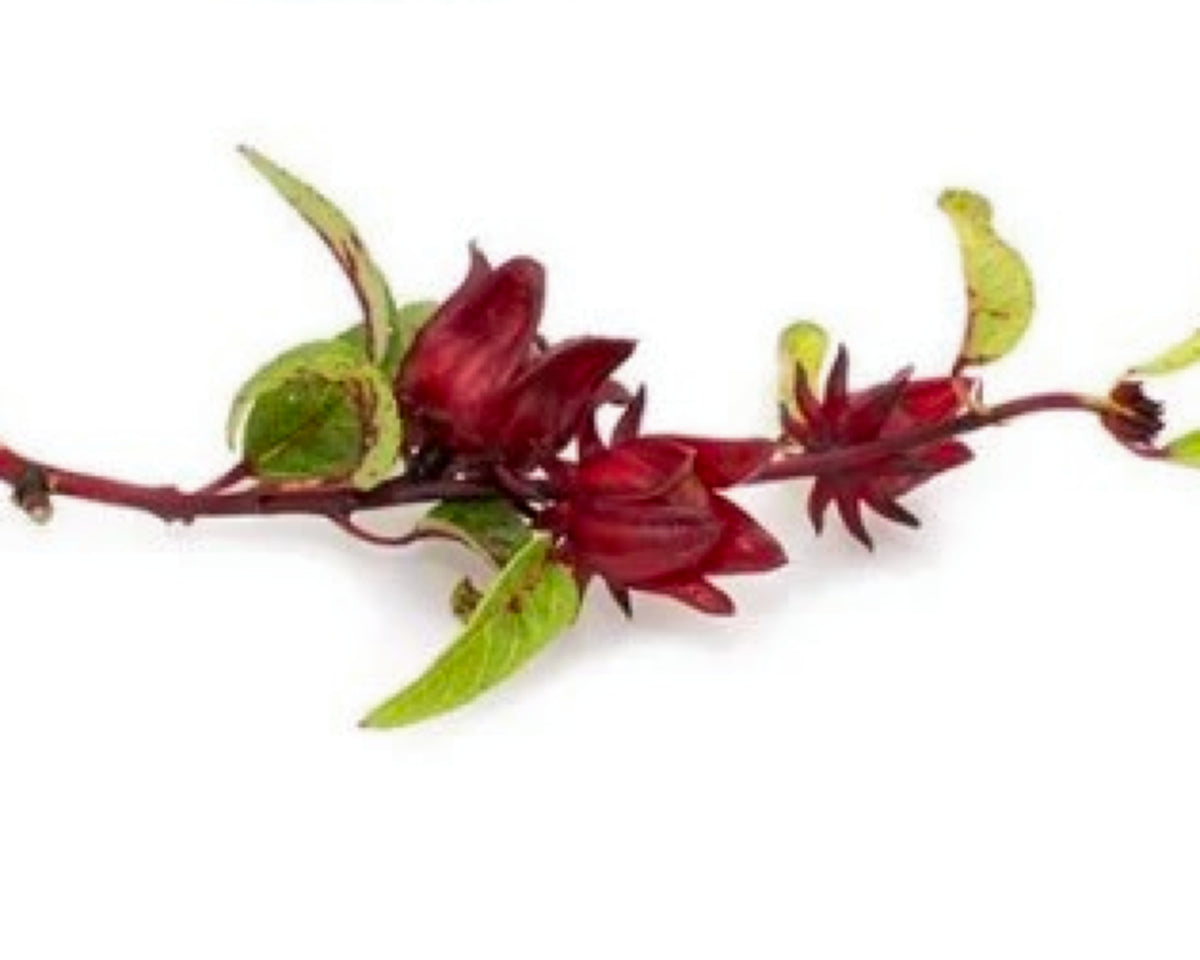 Hibiskusolje (kaldpresset, uraffinert og økologisk)