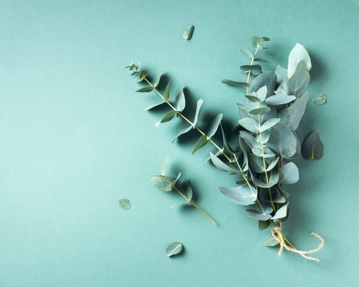 Eucalyptus & Spearmint duftolje