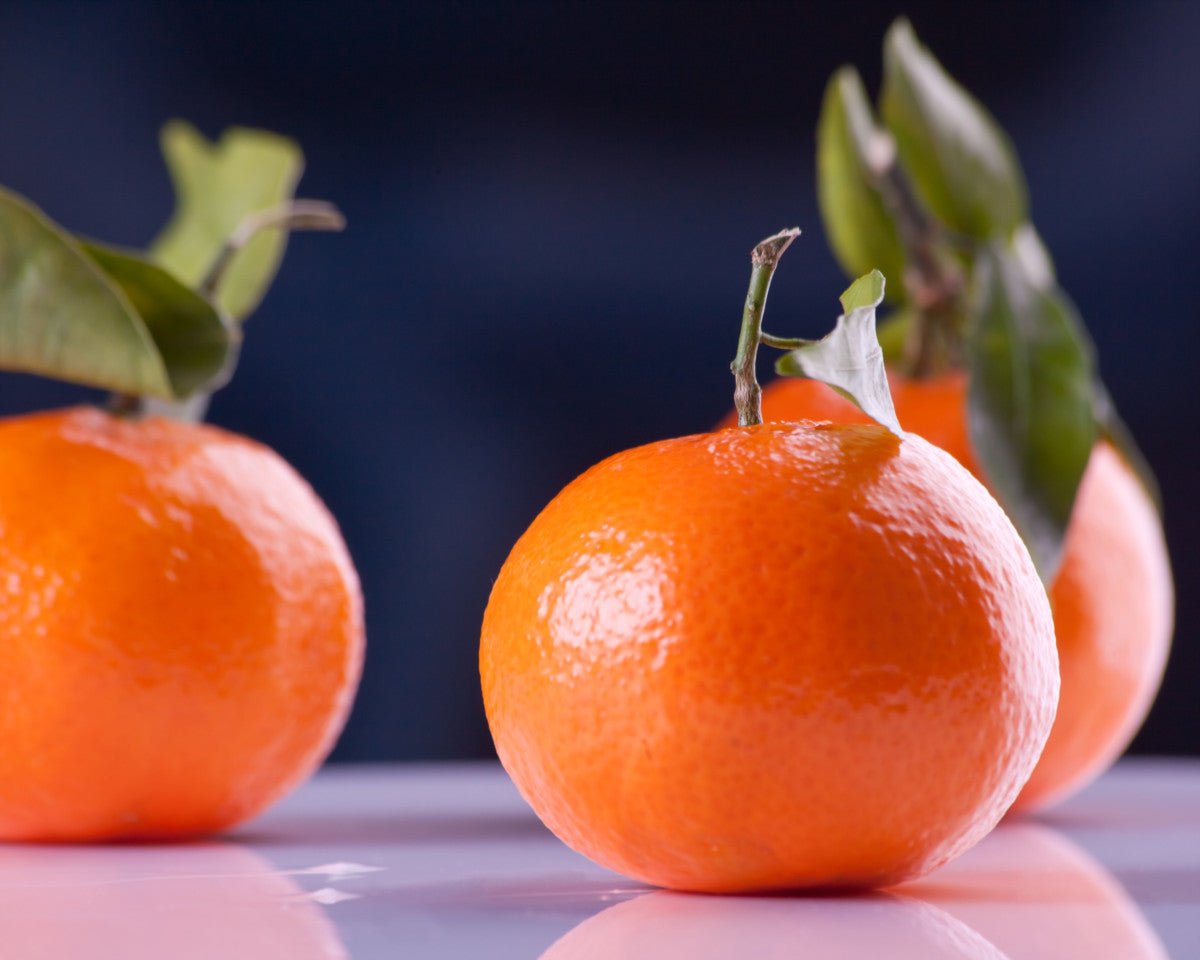 Mandarin 5 - fold eterisk olje - Aromateket