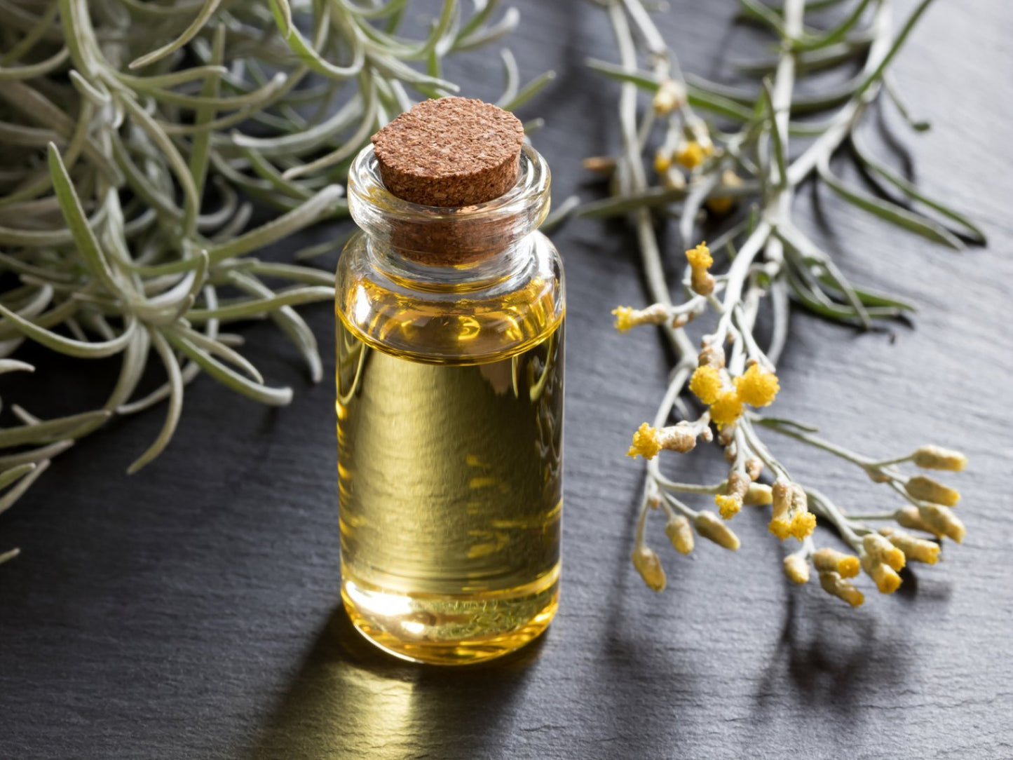 Immortelle eterisk olje (økologisk) - Aromateket