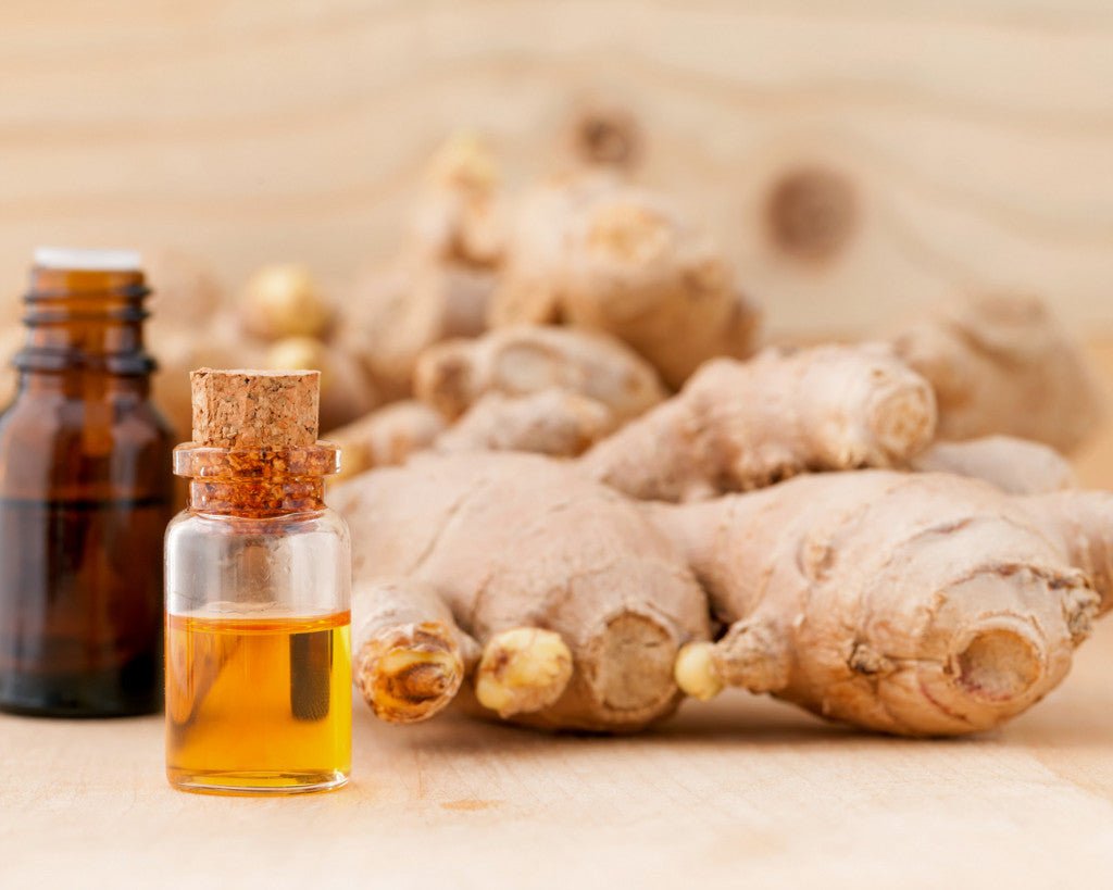 Eterisk olje av tørket ingefær | Aromateket