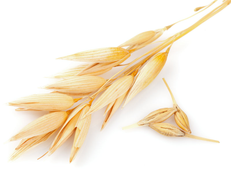 Hydrolysert havreprotein