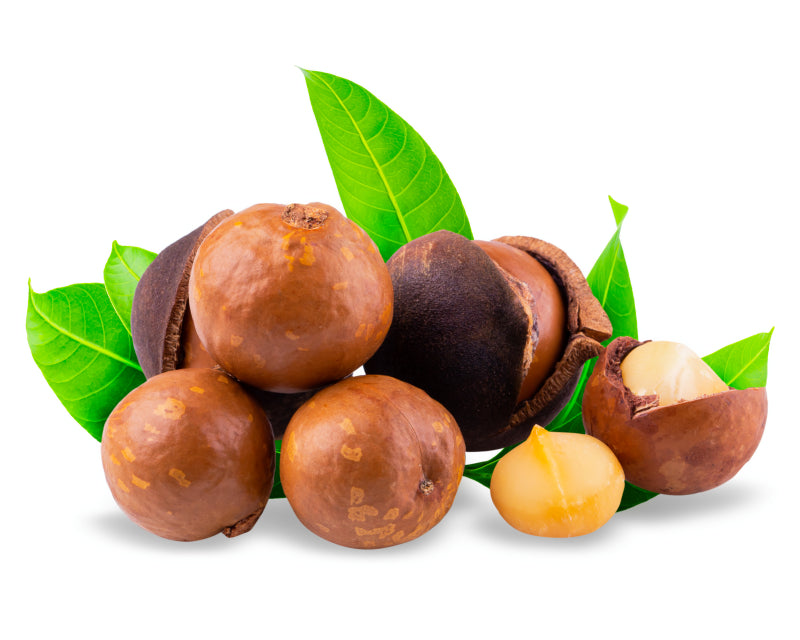 Macadamiaolje (økologisk, kaldpresset jomfruolje)