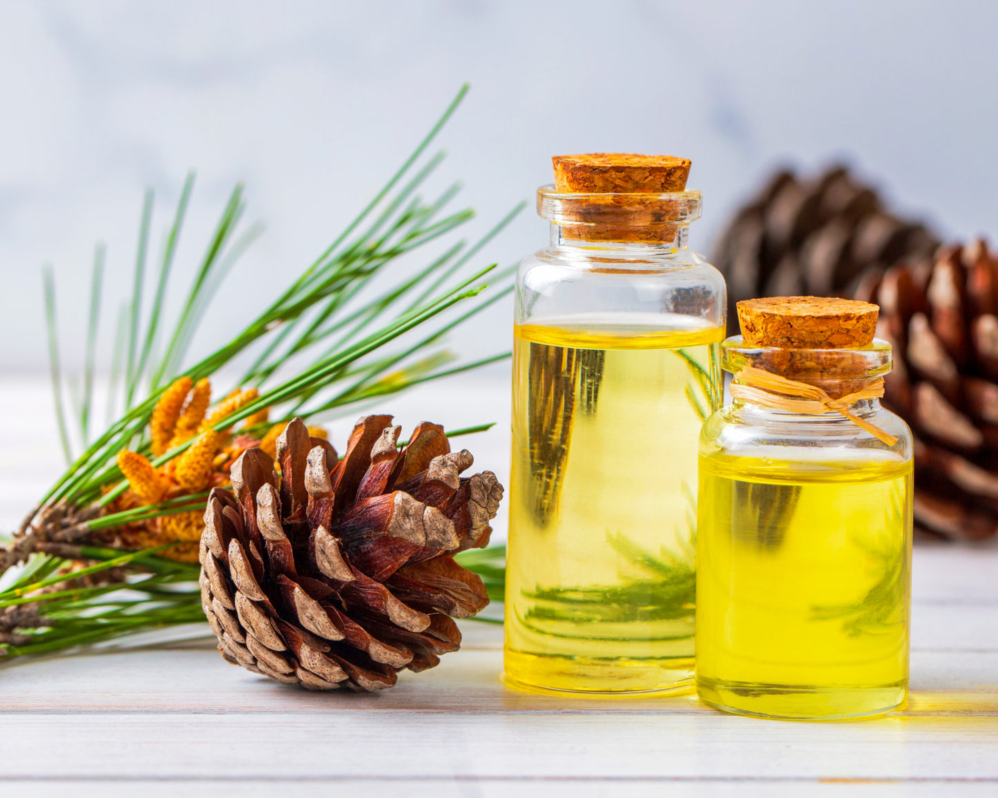 Terpentin eterisk olje (økologisk)