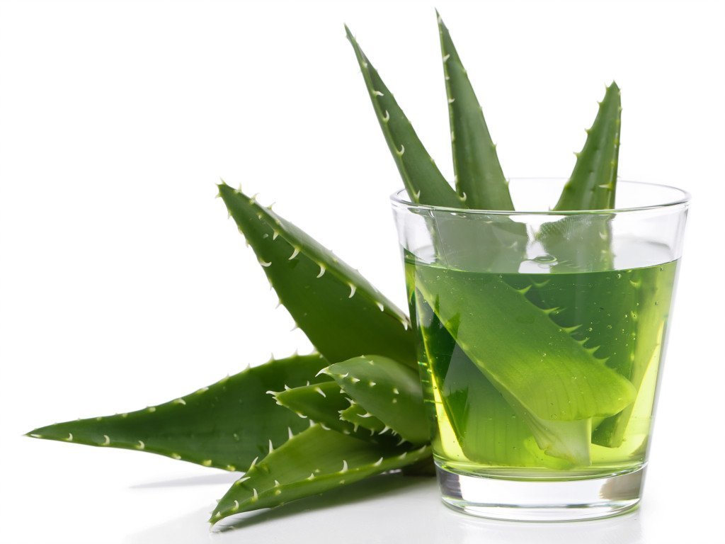 Aloe vera 100X pulver (økologisk) - Aromateket