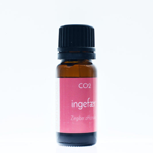 Ingefær CO2 - Aromateket