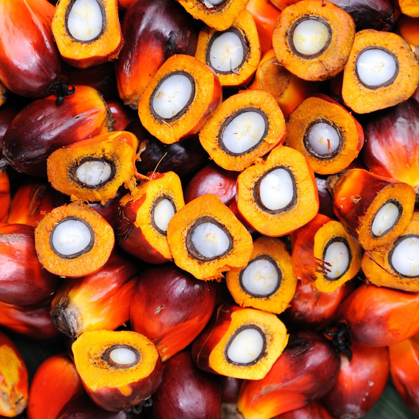 Palmekjernefett - økologisk og RSPO-sertifisert - Aromateket